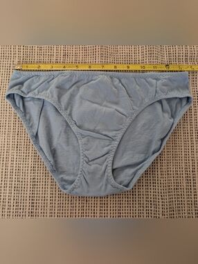 NWOT Pansy Low Rise Underwear in Sky Blue